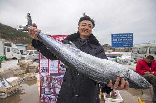 鲅魚(yú)圈生姜（鲅魚(yú)圈盛產(chǎn)鲅魚(yú)嗎）