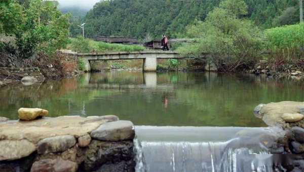 大田濟陽生姜（大田縣濟陽鄉(xiāng)大墘村）-圖3