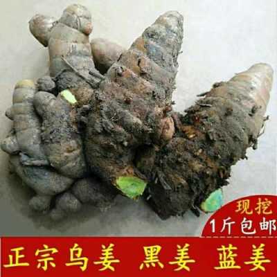 藥材黑生姜（黑生姜的功效與作用及食用方法）-圖2