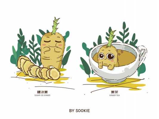 生姜種植插畫（生姜種植技術(shù)大全書）-圖3