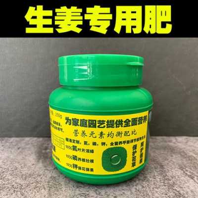 種生姜要準備什么肥料呢（種植生姜要用什么底肥）-圖1