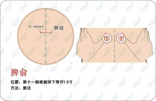 胃痙攣可以用生姜艾灸嗎（胃痙攣可以用艾灸熏嗎）-圖2