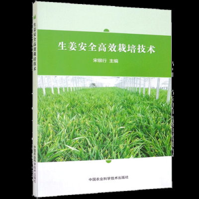 生姜種植技術(shù)（生姜種植技術(shù)大全）-圖2