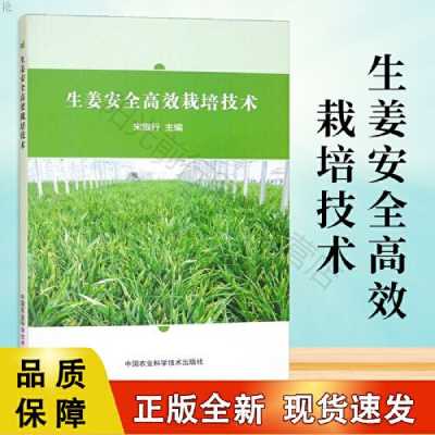 生姜種植技術(shù)（生姜種植技術(shù)大全）-圖1