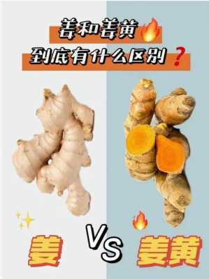 生姜與黃姜那個好