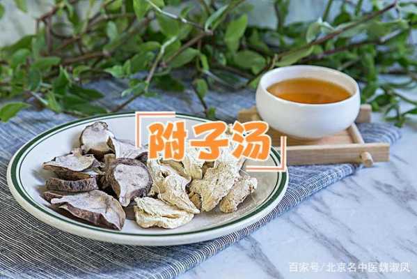 炮附子桂枝茯苓生白術生姜-圖3