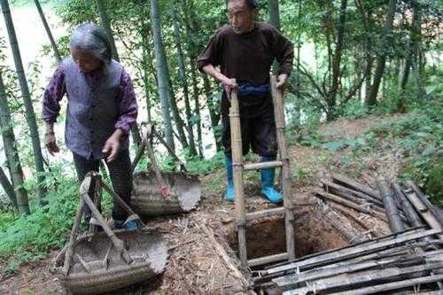 汕頭澄海生姜廠