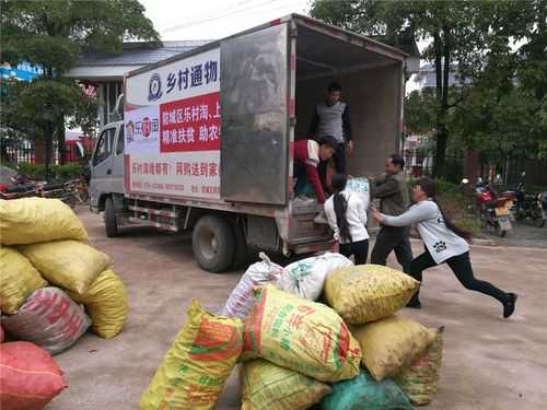 南寧哪個(gè)地方收購(gòu)生姜的-圖3