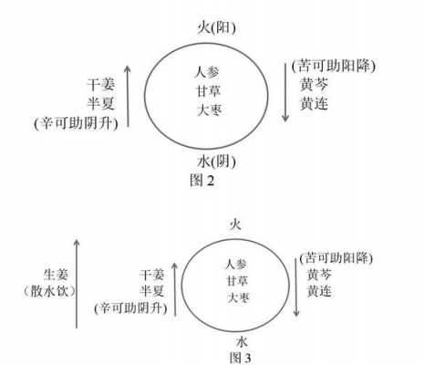 生姜瀉心湯方藥分析報(bào)告-圖2