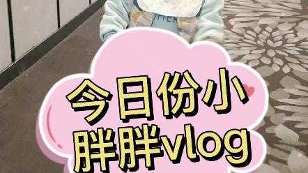 生姜小胖vlog-圖3