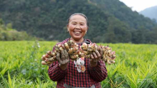 貴州生姜妹子