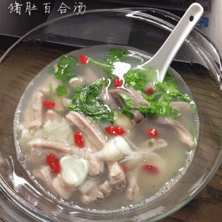 百合生姜豬肚一起煮湯-圖1