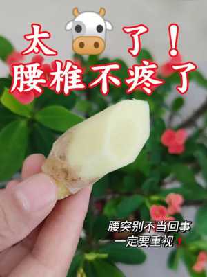 生姜汁按摩腰