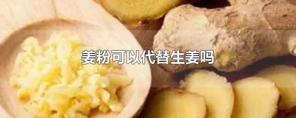 餃子餡姜粉能代替生姜嗎