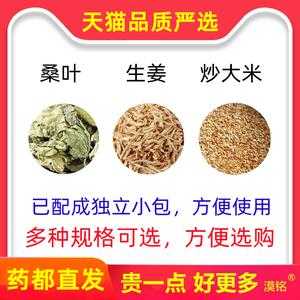 桑葉加生姜炒米泡茶的功效-圖1