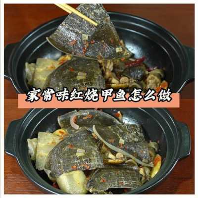 甲魚(yú)不用生姜