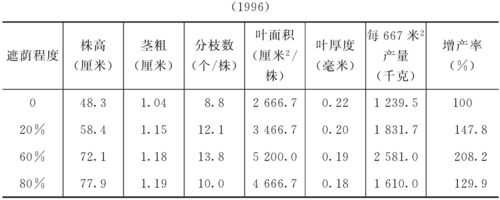 遮蔭對生姜產(chǎn)量的影響研究-圖2