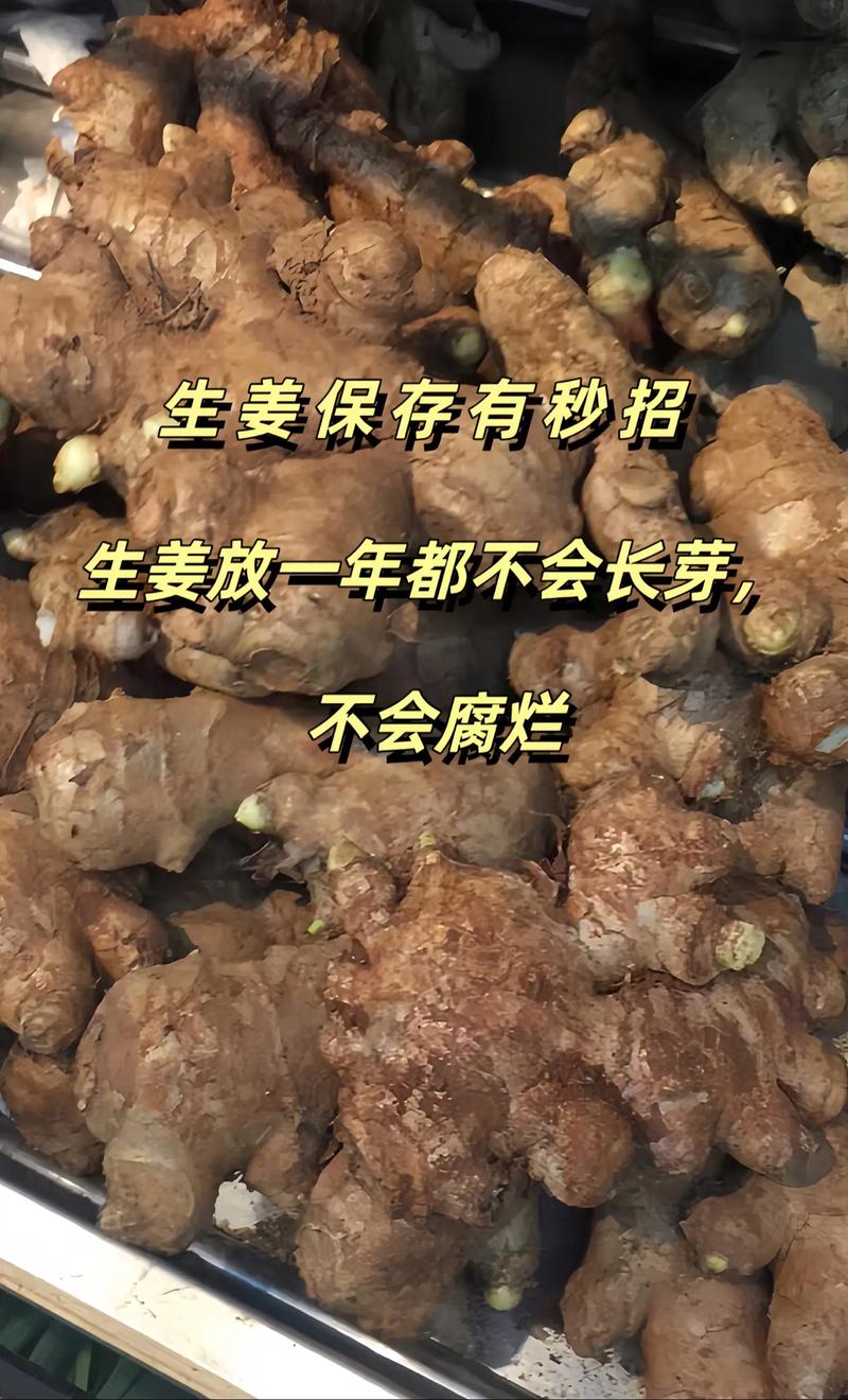 生姜批發(fā)的技巧