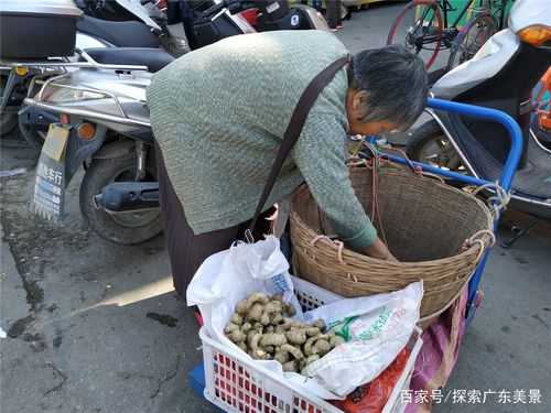 農(nóng)村大嬸在街頭賣生姜視頻-圖1