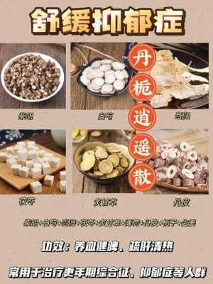 柴胡白術(shù)當(dāng)歸丹皮陳皮生姜