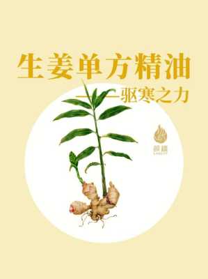 生姜植物精油能不能祛痘