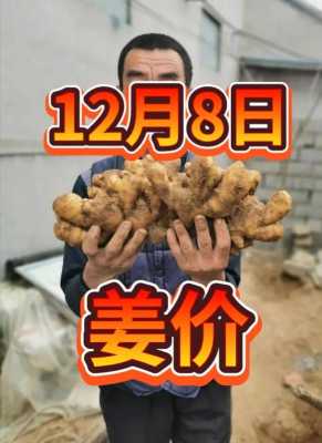 12月10日生姜價格如何-圖2