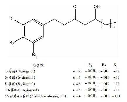 生姜中姜酚的含量有多少-圖3
